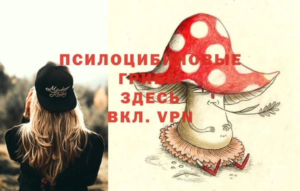 таблы Зерноград