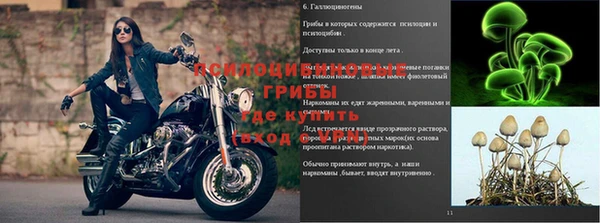 таблы Зерноград